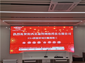 廣東瑞智網(wǎng)絡液晶拼接屏項目